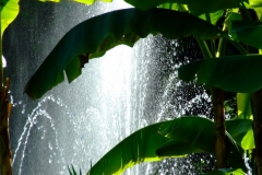 Gartenanlage