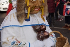 DSC08213-001