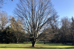 Park Hohenheim